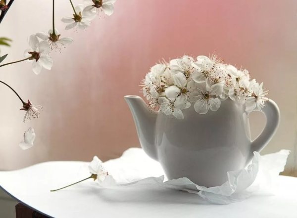 Нежное утро