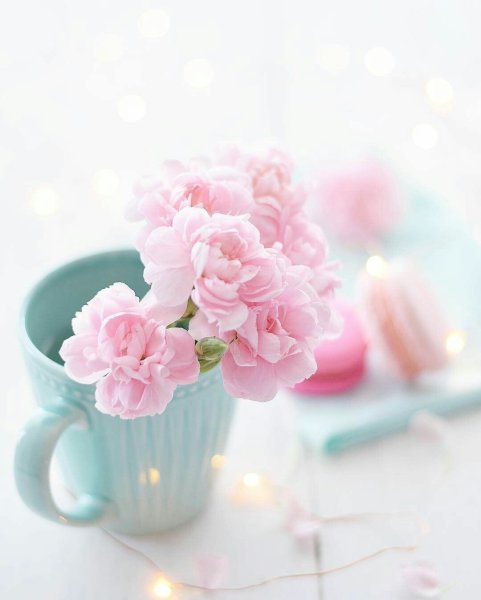 Нежный цветок