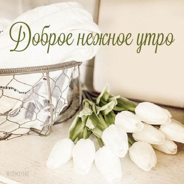 Необычные пожелания с добрым утром