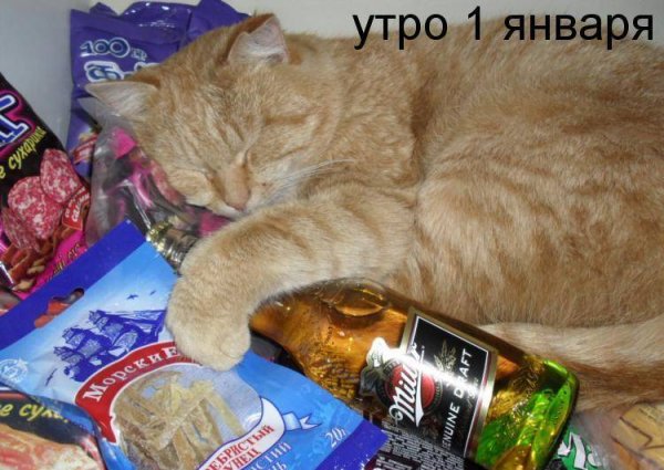 Утро первого января