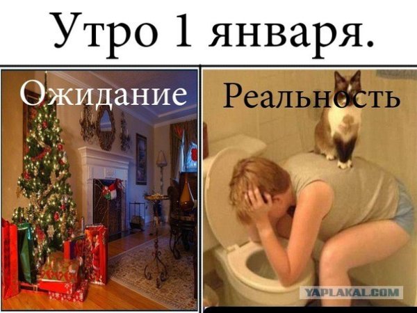 1 Января приколы