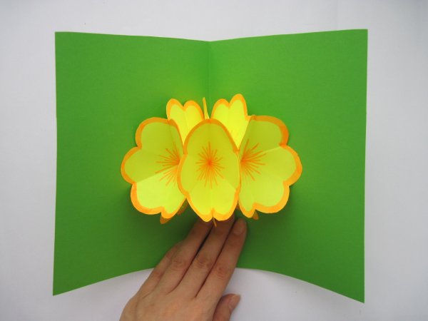 Объёмные книжки раскладушки