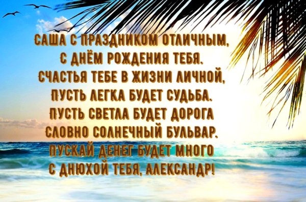 Поздравления с днём рождения Александру