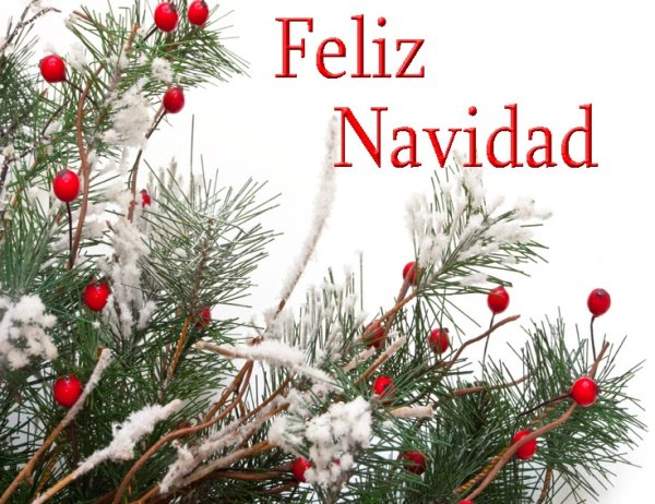 Фелис Навидад