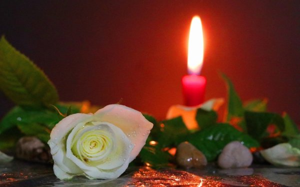 Свеча памяти и цветы