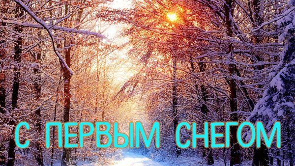 Веселые поздравления с первым снегом