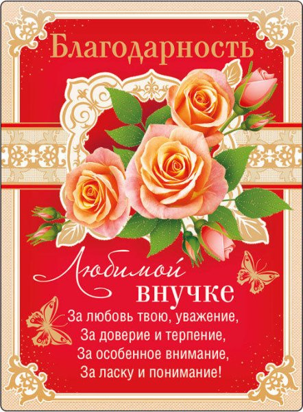 Я стала бабушкой