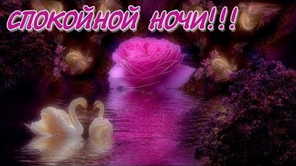 Спокойной ночи сладких снов красивые пожелания романтичные