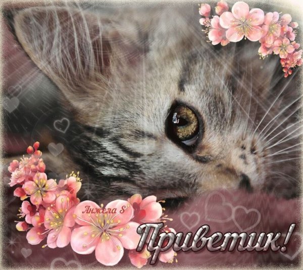 Открытка с приветствием женщине красивая