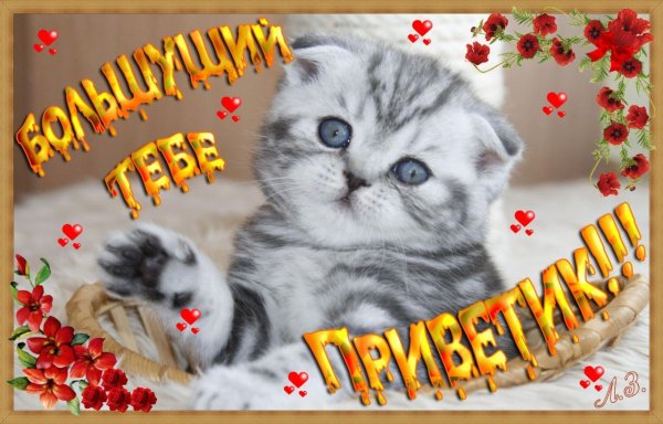 Открытки привет