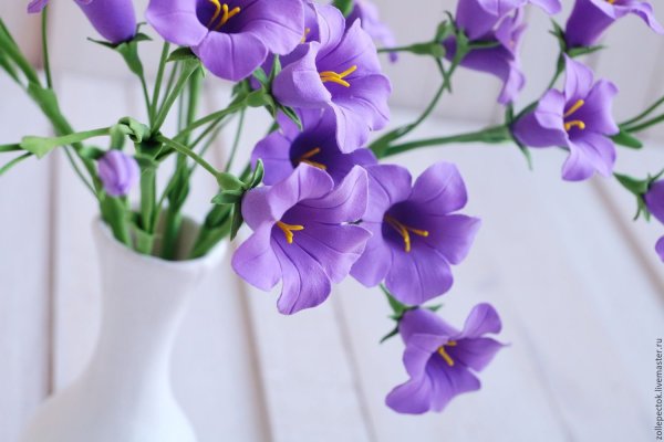 С добрым воскресным утром