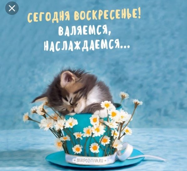 Пожелания с добрым воскресным утром