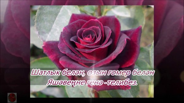 Туган конен белэн открытки на татарском