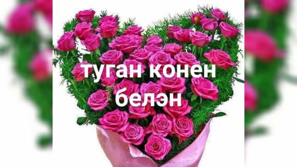 Наиля туган конен