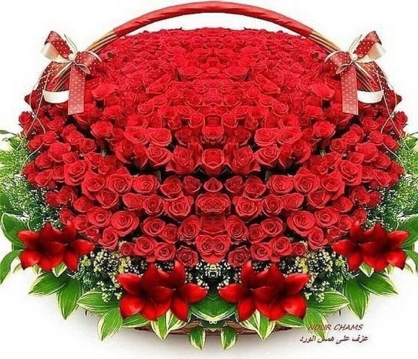 Букет шикарный для надежды!