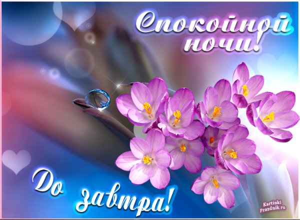 Открытки спокойной ночи до завтра