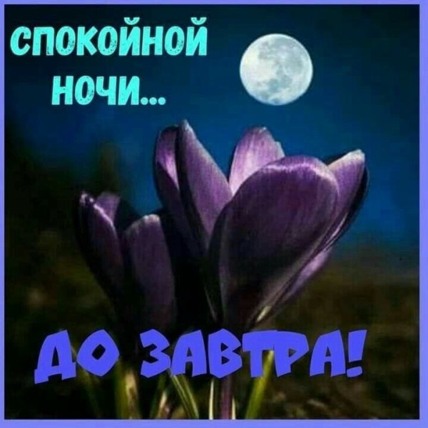 Спокойной ночи до завтра
