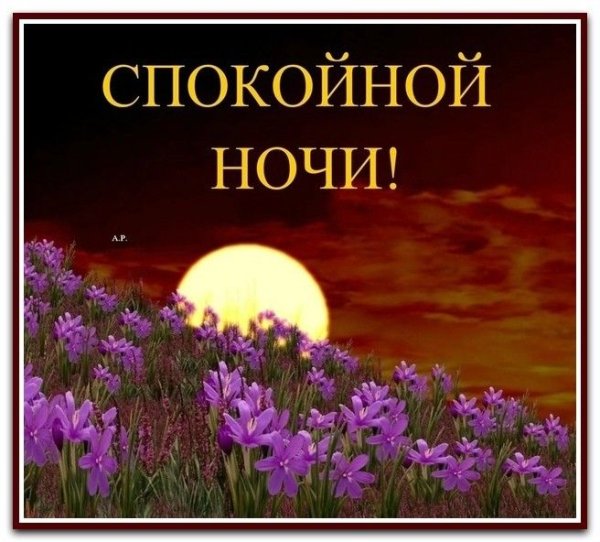 Доброй ночи друзья