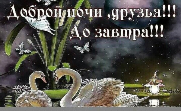 Спокойной ночи до завтра