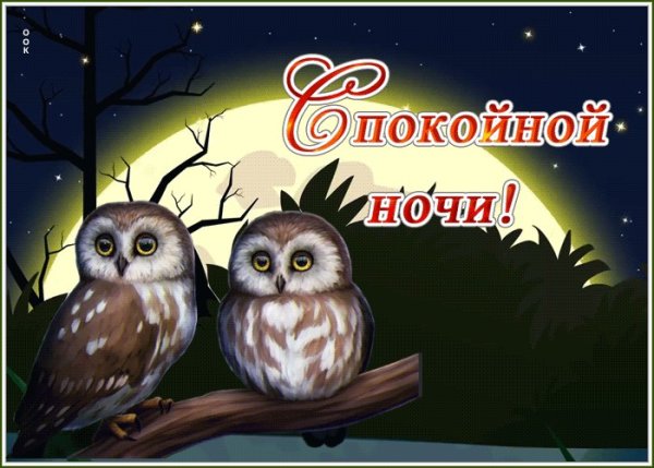 Доброй вам ночи и светлого завтра