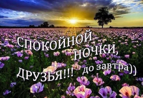 Спокойной ночи сладких снов до завтра