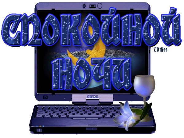 Спокойной ночи друзья