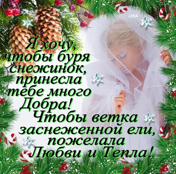 Счастья и добра в новом году