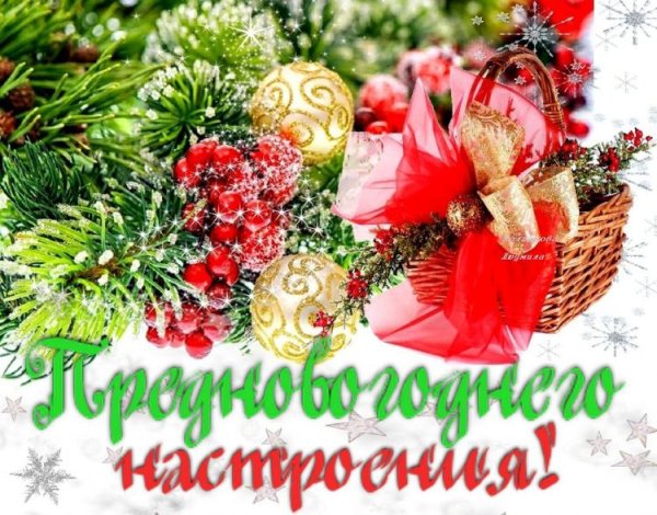 Предновогоднего настроения открытки