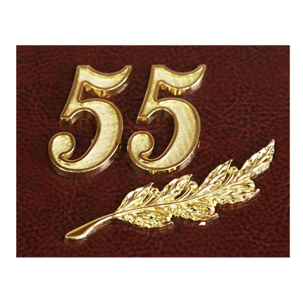 Поздравление с 55 летием мужчине