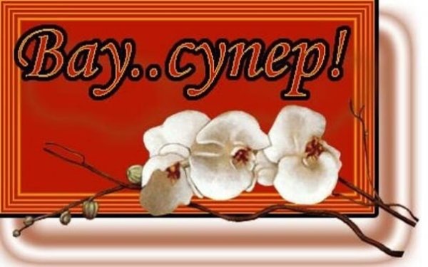 Открытка вау красота