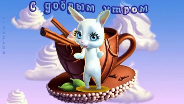 Доброе утро Зайка