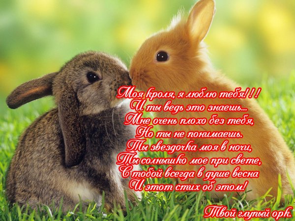 Классные открытки на каждый день