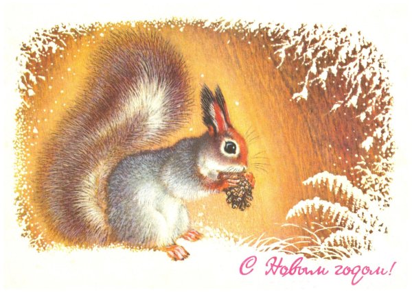 Белка художники анималисты