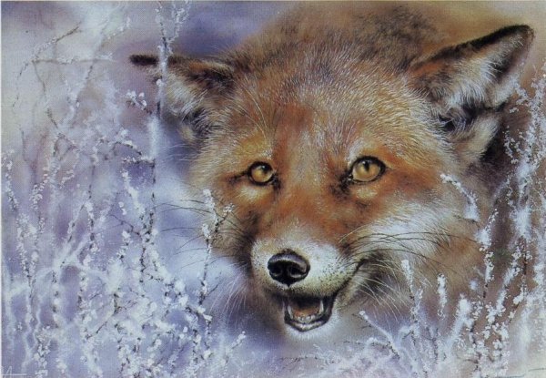 Алексей Исаков художник