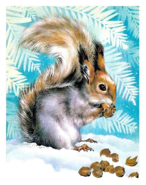 Алексей Исаков художник анималист