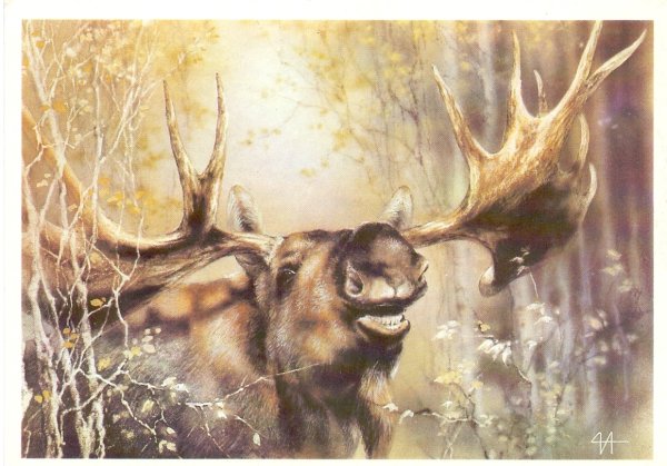 Алексей Исаков художник анималист