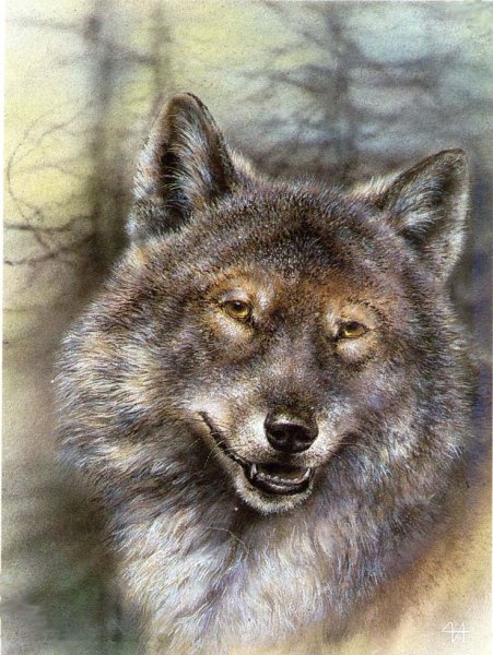 Художник анималист Исаков