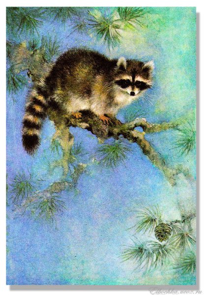 Художник анималист Исаков