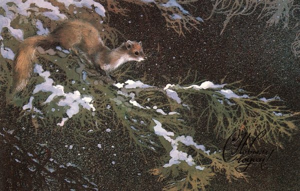 Художник анималист Исаков