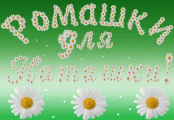 Ромашки для Наташки