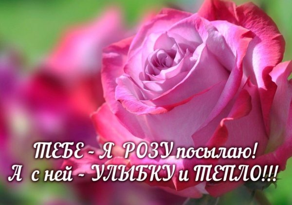 Добрый день милая Наташенька