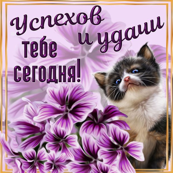 Открытка "удачи!"