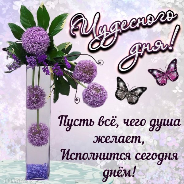 Пожелания доброго дня