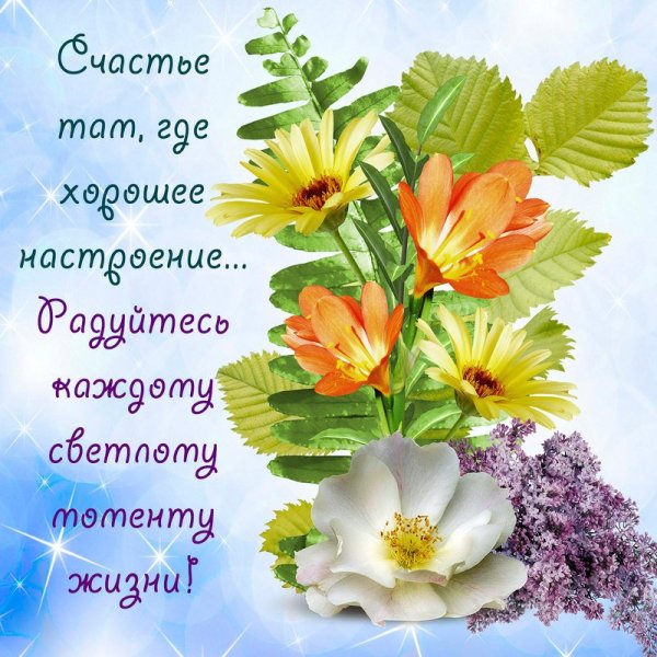 Пожелания на день