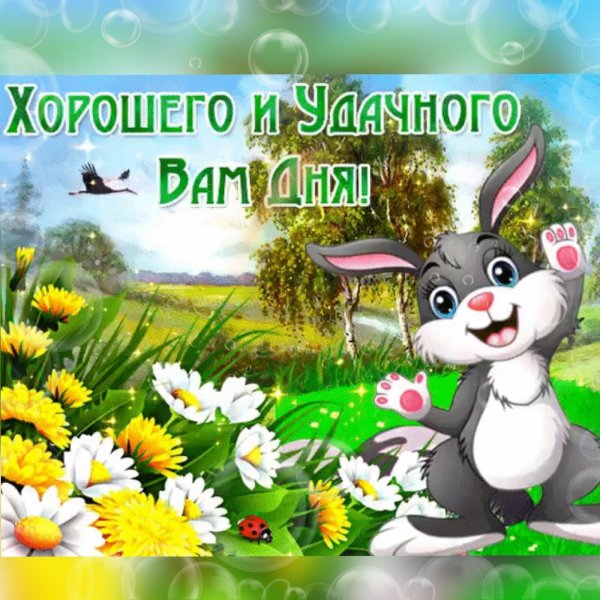 Хороший день