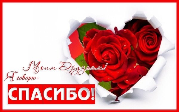 Спасибо моим друзьям