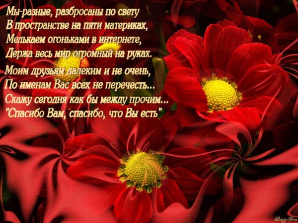 Самые теплые слова