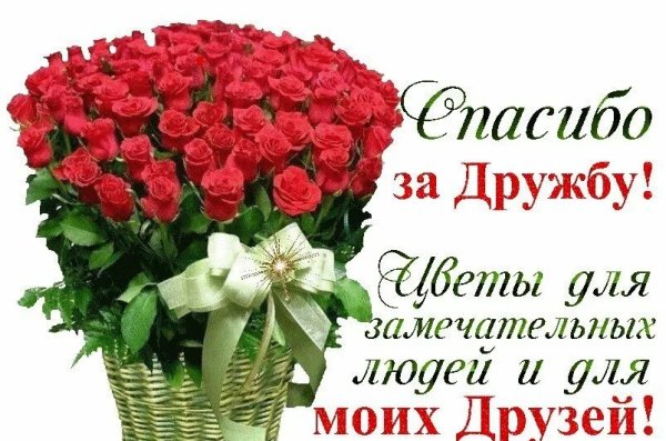 Спасибо за дружбу