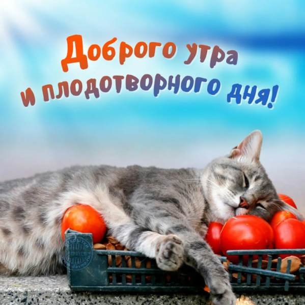 Открытки с добрым утром