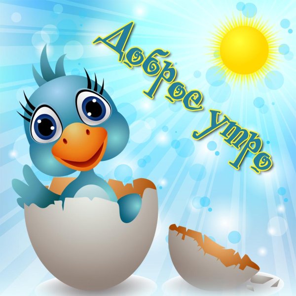 Прикольные КОТКРЫТКИ С добрым утром